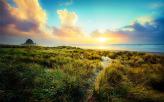 Grassy field path ocean sunset - a grassy field free wallpaper