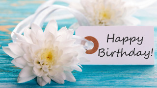 White flower birthday sign beach - a white sign free wallpaper