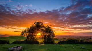 Tree sunset clouds horizon landscape - dave allsop free wallpaper