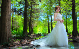 Woman wedding dress forest stream - the background and a stream free wallpaper