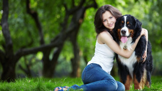 Woman hugging dog park nature - the background and grass free wallpaper