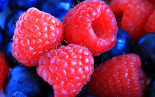Berries blueberry raspberry macro photorealism - berry free wallpaper for desktop