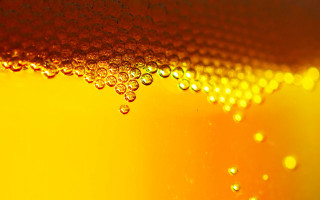 Yellow liquid bubbles autumn fire - bela čikoš sesija free wallpaper