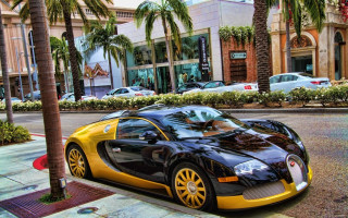 Bugatti palm trees cityscape urban - the side of the road in front free wallpaper