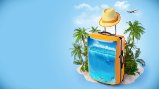 Suitcase dolphin hat beach palm - a suitcase free wallpaper