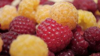 Raspberries yellow red fruits macro - other fruit free wallpaper