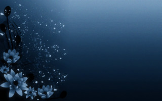 Blue flowers waterdroplets black white - a few white flower free wallpaper