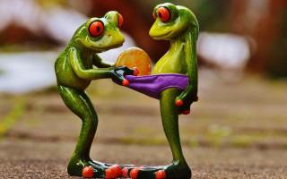 Frogs playing with ball tennis - the ground together free wallpaper