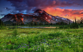 Mountain lake wildflowers sunset pink - a pink sky free wallpaper