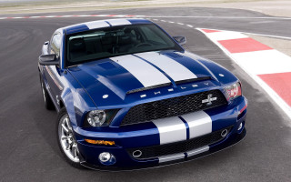 Blue mustang race track white - the front of its free wallpaper