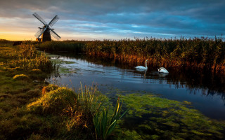 Swans pond windmill sunset clouds - a dark sky in the background free wallpaper for desktop