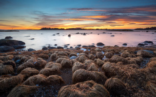 Beach rocks grass sunset clouds - rock and grass free wallpaper