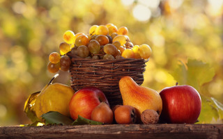 Basket fruit table tree automn - a basket of fruit free wallpaper