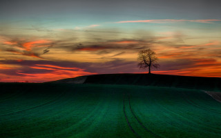 Lone tree hill sunset mountains - a lone tree free wallpaper