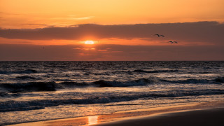 Sunset ocean birds clouds lighthouse - a sunset over the ocean free wallpaper for desktop