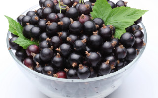 Blackberries leaves bowl white black - fluxus free wallpaper