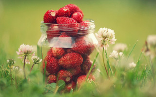 Strawberry jar green field flowers - a jar free wallpaper