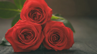 Red roses bouquet flower still - a table together free wallpaper