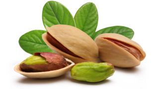 Nut leaves shells food bowl - a nut free wallpaper