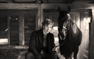 Man sitting hay bale horse - pre free wallpaper