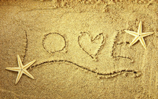 Starfish love sand american romanticism - the sand free wallpaper for desktop