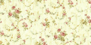 Floral pink rose white background - floral free wallpaper