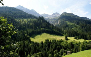 Green valley cabin mountains trees - a green valley free wallpaper
