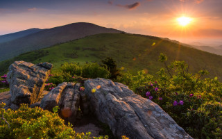 Sunset mountain rock flowers landscape - a sunset over a mountain free wallpaper