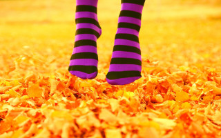 Person striped socks leaves green 2 - their leg free wallpaper for desktop