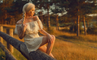 Woman fence dress braids field - a picture in a field free wallpaper