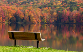 Lake bench autumn leaves forest - bob ross free wallpaper