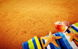 Starfish towel beach shell summer - a starfish free wallpaper