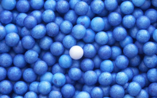 White egg blue bowl blueberries - free stars wallpaper