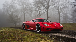 Red sports car foggy forest - the front free wallpaper