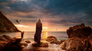 Woman rock beach sunset bird - matte fantasy painting free wallpaper