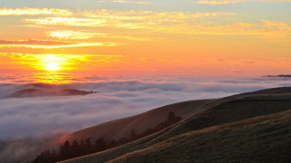 Sunset foggy valley trees horizon - the hillside free wallpaper