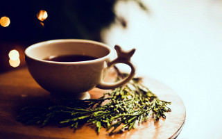 Coffee rosemary candle star outdoors - afewerk tekle free wallpaper