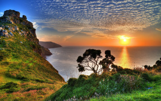 Sunset water cliff tree city - the far side free wallpaper