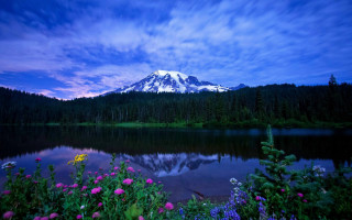 Mountain lake wildflowers blue sky - bob thompson free wallpaper