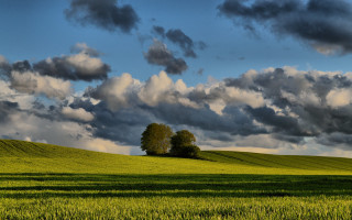 Field tree clouds sunset mountain - dramatic light free wallpaper for desktop
