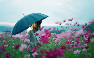 Woman umbrella flower field pink - atey ghailan free wallpaper