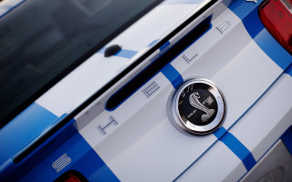 Police car badge snake emblem - carl eugen keel free wallpaper