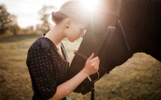 Woman horse field sunshine polkadot - anka zhuravleva free wallpaper for desktop