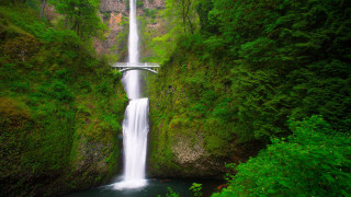 Waterfall bridge river forest nature 2 - a river below free wallpaper