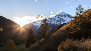Mountain snow peak trees sun - the cloud free wallpaper for desktop