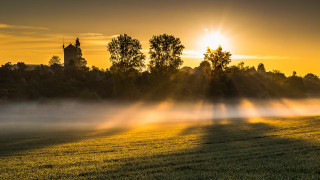 Autumn fog misty trees building - crepuscular ray free wallpaper