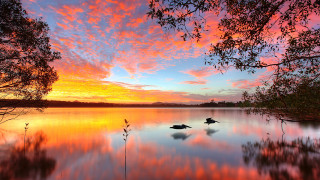 Sunset lake ducks trees pink - a sunset over a lake free wallpaper for desktop