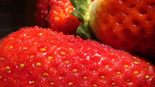 Strawberry water droplets green leaf - arcimboldo free wallpaper for desktop