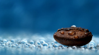 Chocolate cookie chips water droplets - chocolate free wallpaper