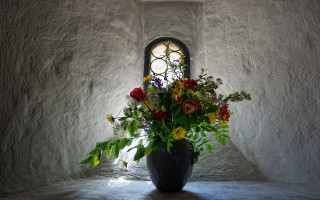 Vase flowers room window light - ambient light free wallpaper